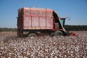 cotton picker