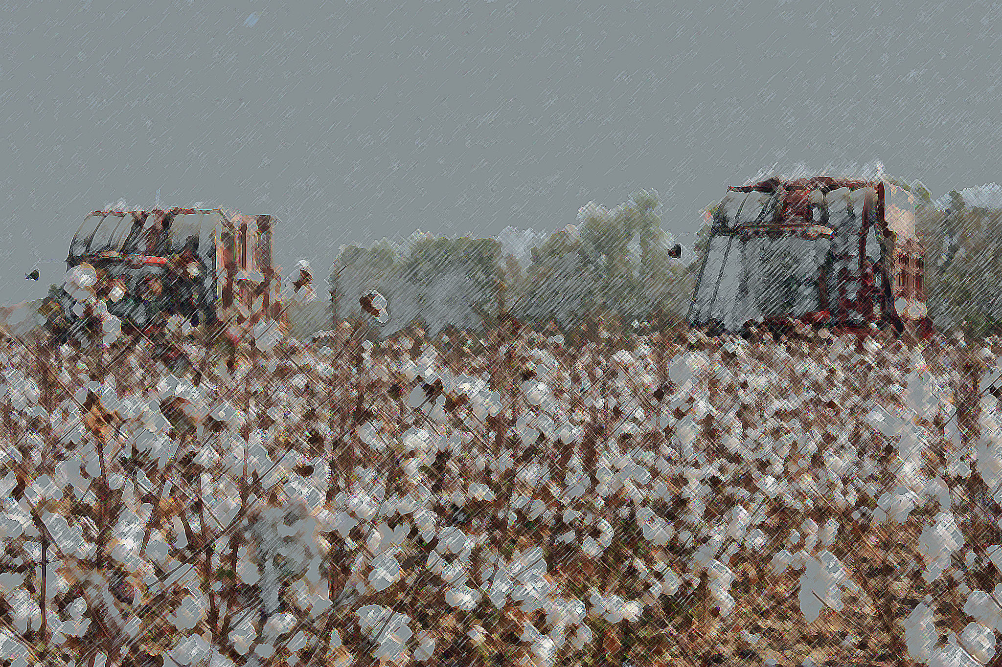 two cotton pickers