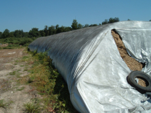 corn silage storage plastic