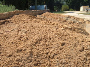 wet brewers grain