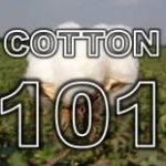 cotton 101