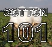 cotton-101