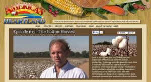 biotech GMO cotton farmer Jay Hardwick
