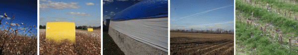 cotton-fields-post-harvest