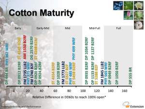 relative maturity of cotton varieties