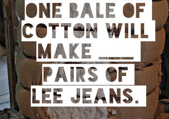 One bale of cotton will make ___ pairs of Lee Jeans