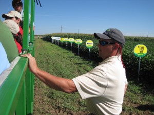 An agronomist gives a field tour of various cotton varieties