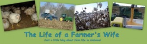 The Life of a Farmer