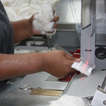 scanning a barcode for cotton sample