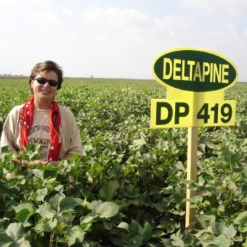 sign in a cotton field with farmer