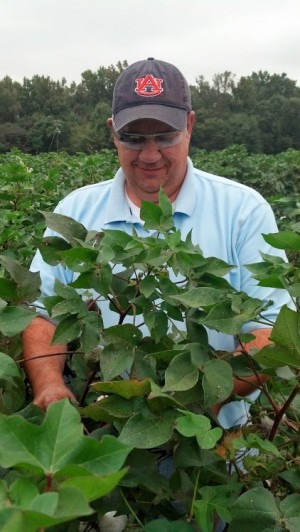 scouting cotton with Google glass