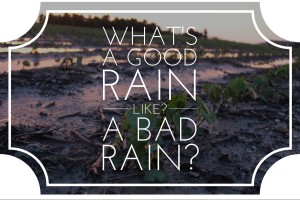 good or bad rain