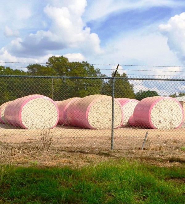 Cotton breast cancer awareness