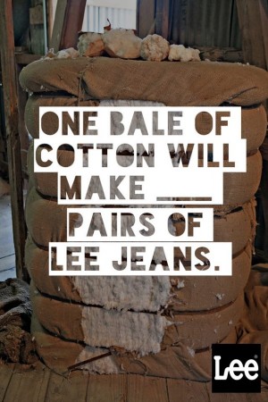 one bale of cotton will make ____ pairs of Lee Jeans