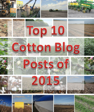 top 10 cotton blog posts