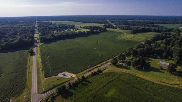 aerial cotton photo farm from drone