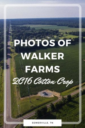 photos of walker farms