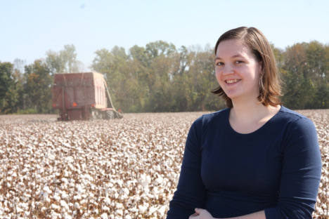 What do a cotton plant, blooms & bolls look like? VIDEO