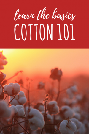 the cotton - basics