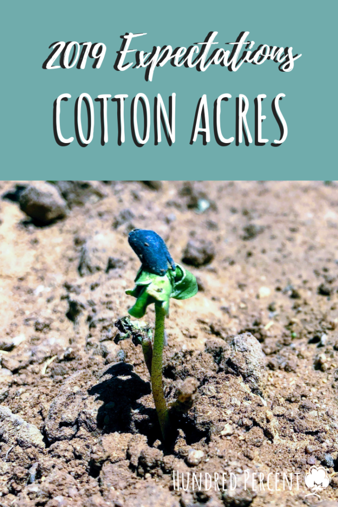 2019 cotton acres planted